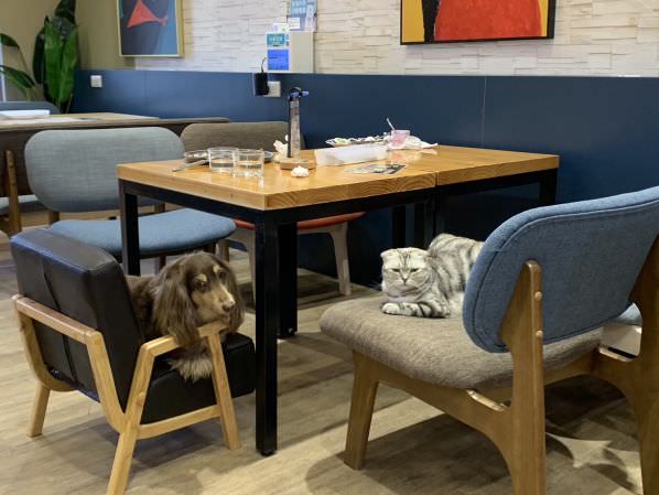 森林小徑文心店用餐環境