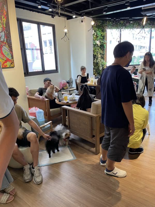 森林小徑大墩店對寵物超友善